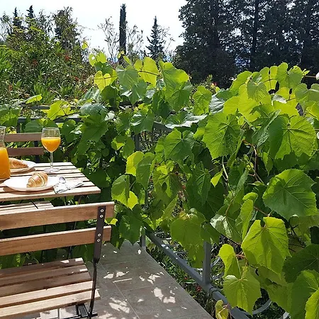 Iskra Apartman